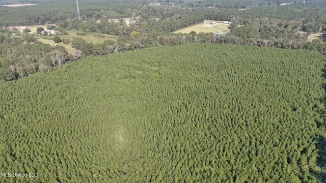 $340,000 | 0 East 98th Highway, Tylertown, MS 39667