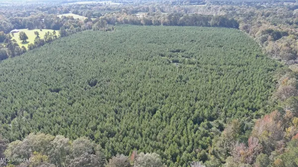 $340,000 | 0 East 98th Highway, Tylertown, MS 39667