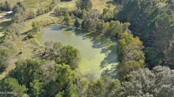 $340,000 | 0 East 98th Highway, Tylertown, MS 39667