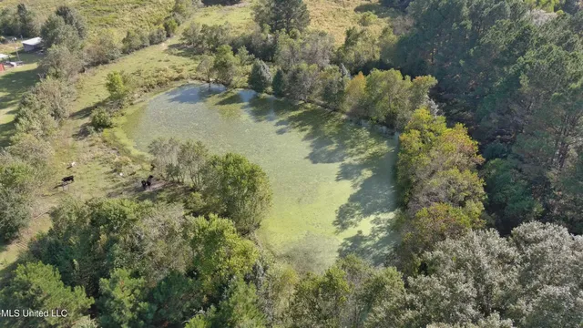 $340,000 | 0 East 98th Highway, Tylertown, MS 39667