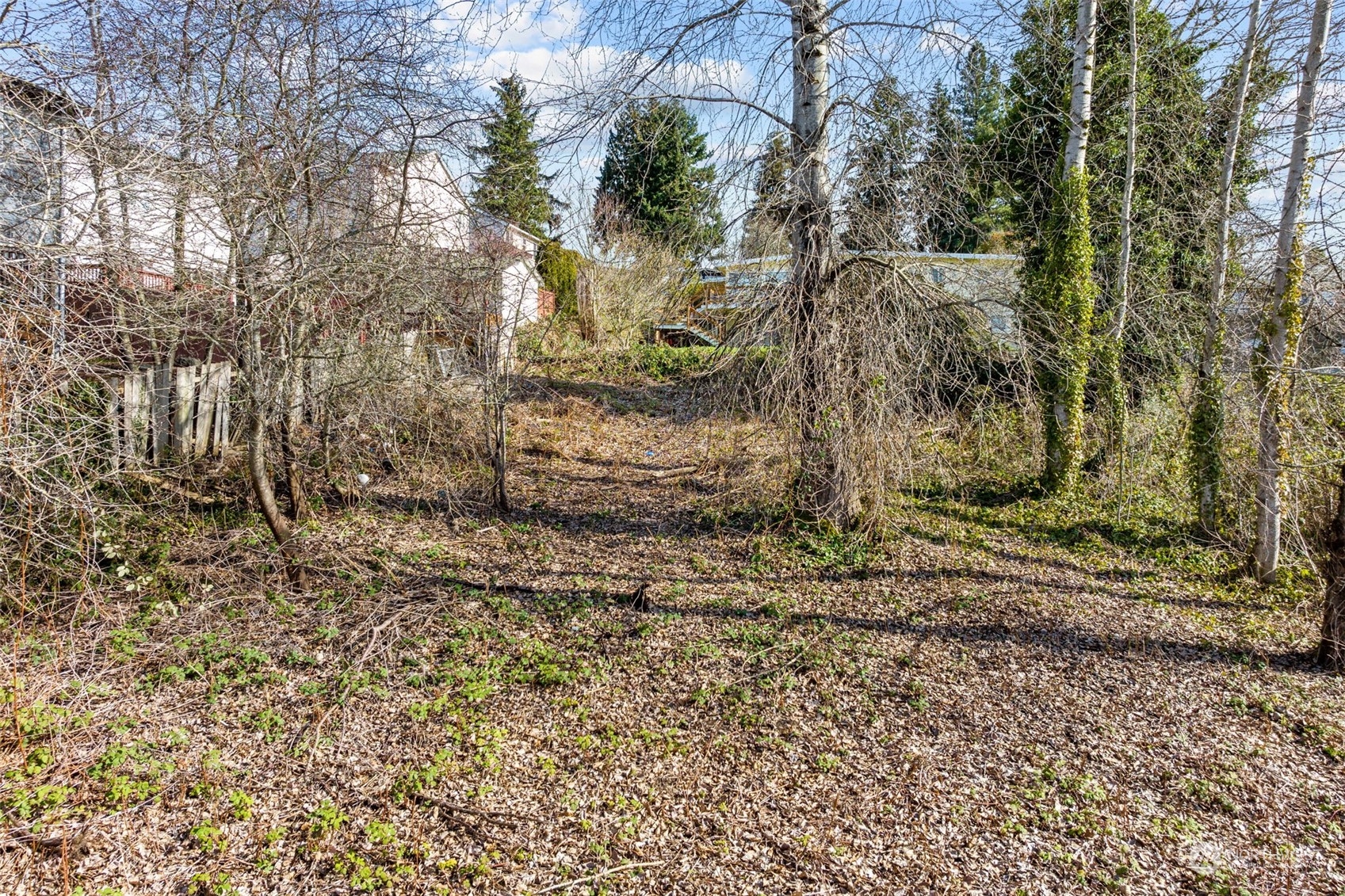 666 Sunset Boulevard Northeast Renton, WA 98056 - Photo 39 of 39 a view of a yard with plants and trees