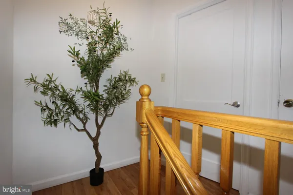 a view of staircase with wooden floor and a potted plant
