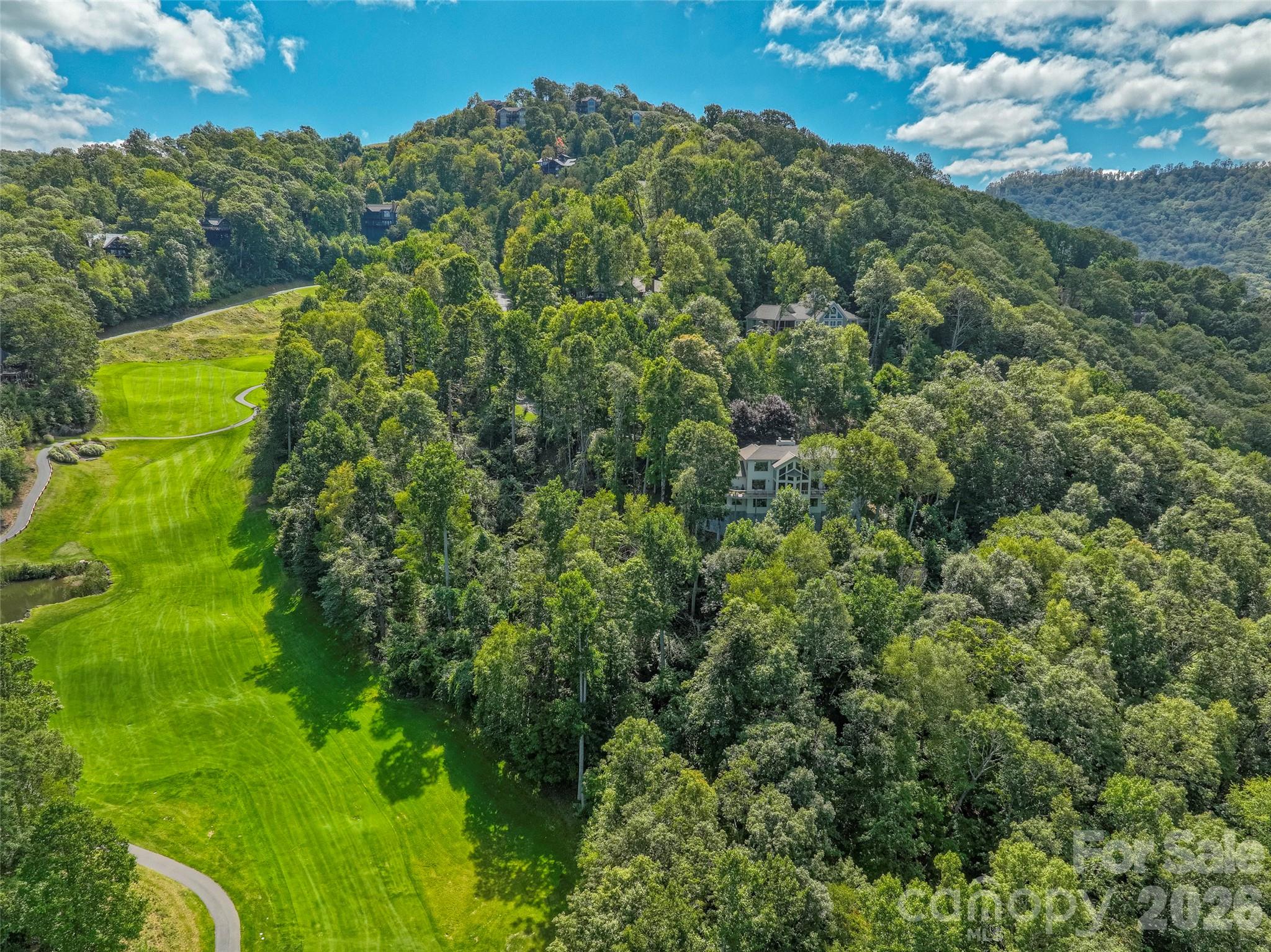 350 Ball Camp Road Burnsville, NC 28714 - Photo 41 of 44 a view of a garden