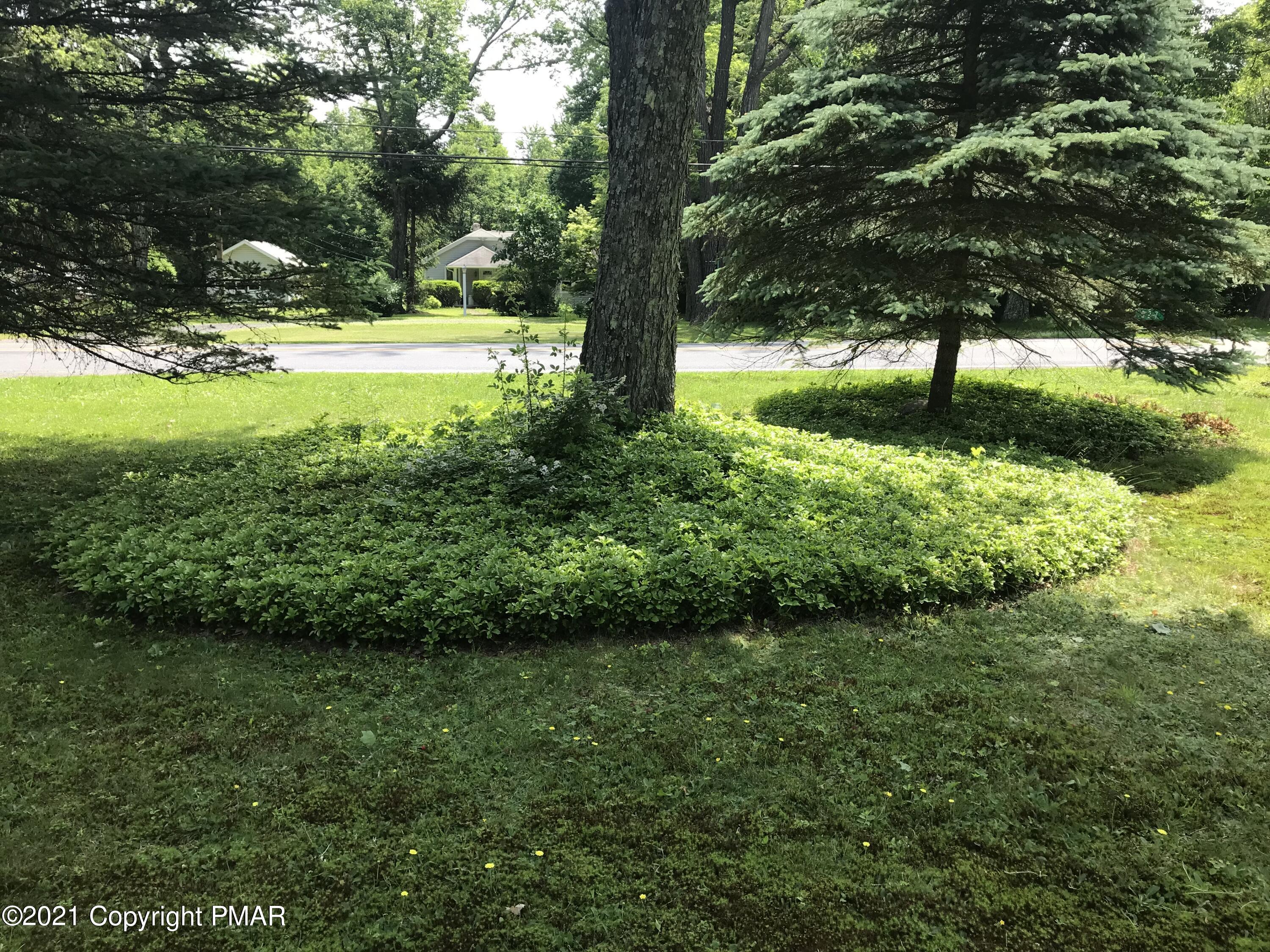 327 Carlton Road Mount Pocono, PA 18344 - Photo 11 of 34 Front Yard