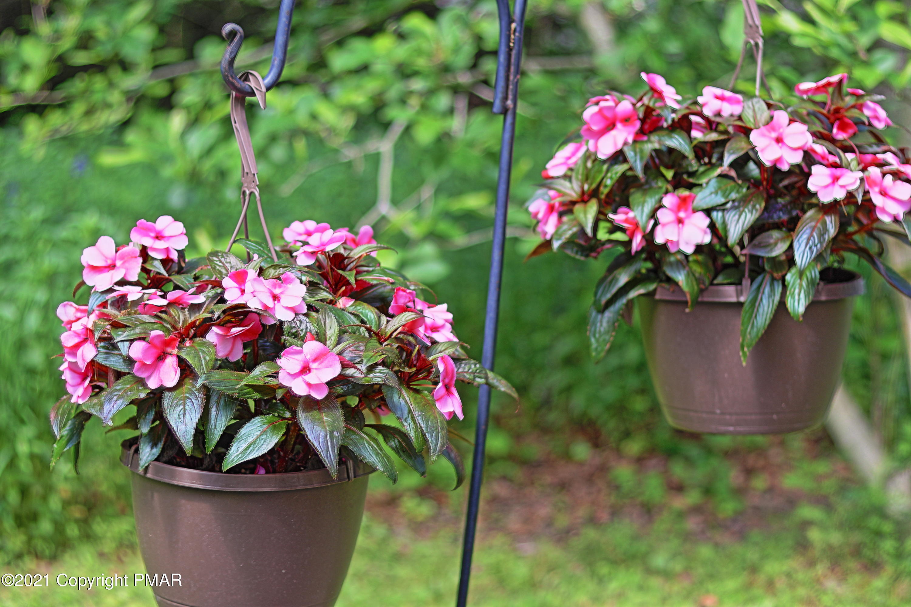327 Carlton Road Mount Pocono, PA 18344 - Photo 7 of 34 Flowers
