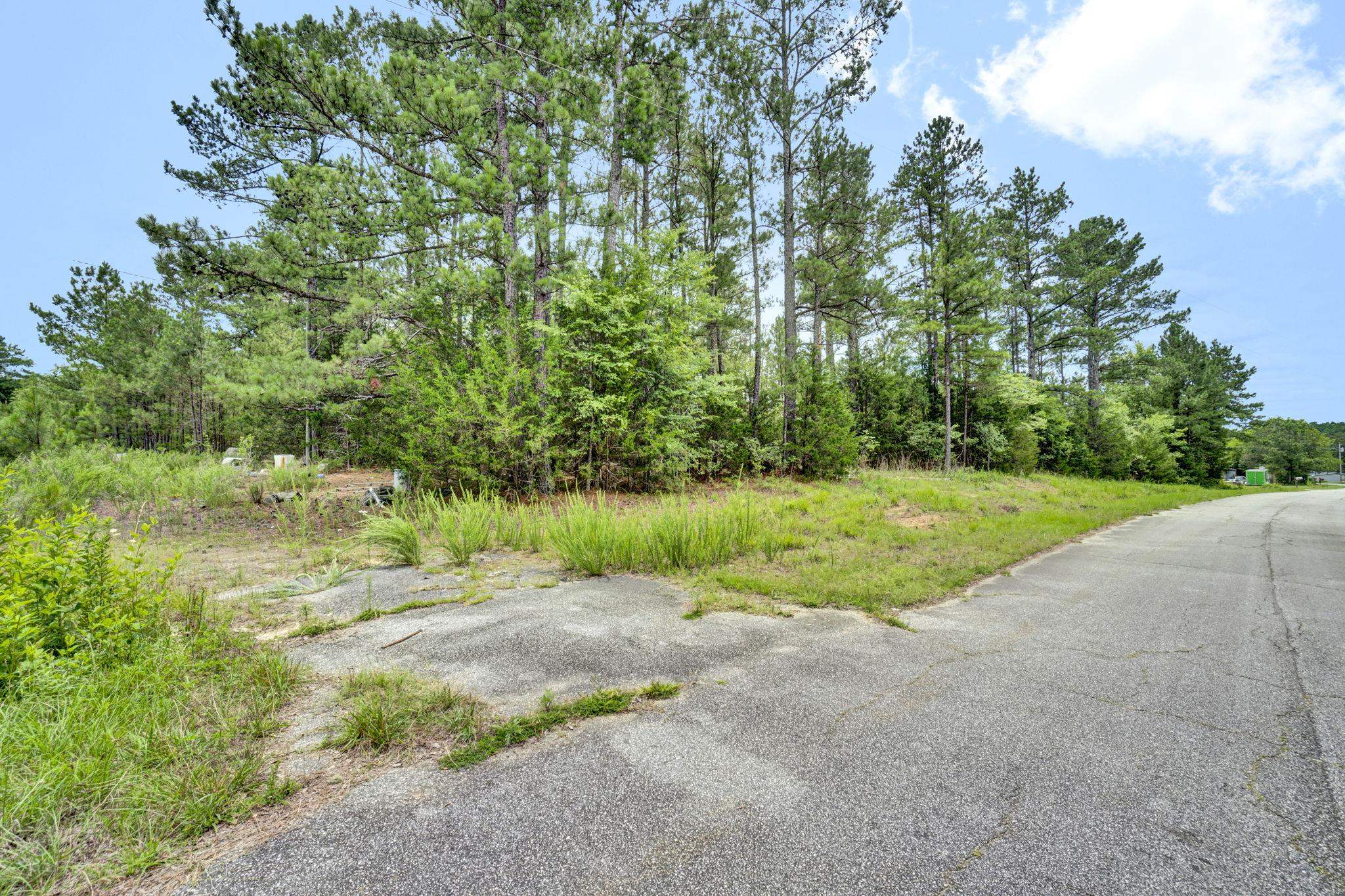 0 Stomp Springs Circle Clinton, SC 29325 - Photo 11 of 22