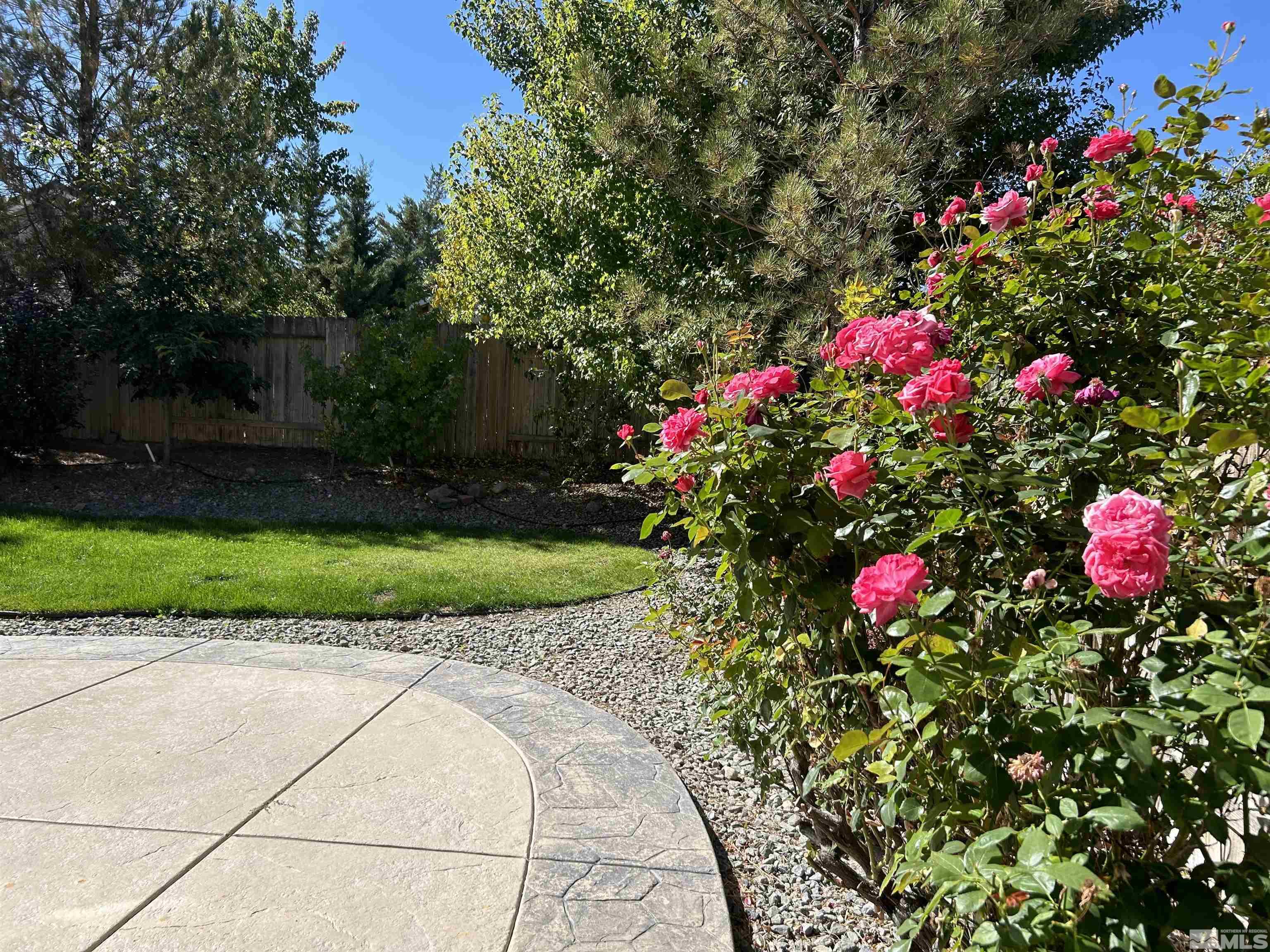 10047 Silver Star Drive Reno, NV 89521 - Photo 11 of 26 a view of a flower in a garden