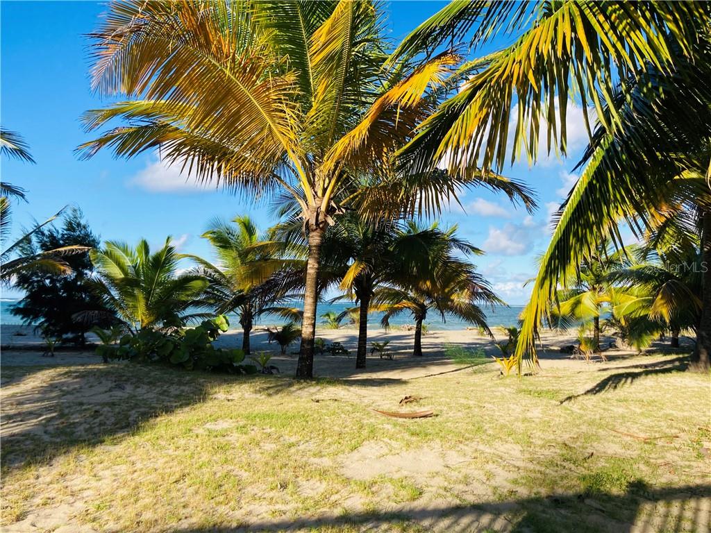 Condo Condo Ocean Point, Unit 4602, Loiza, PR 00772 Compass