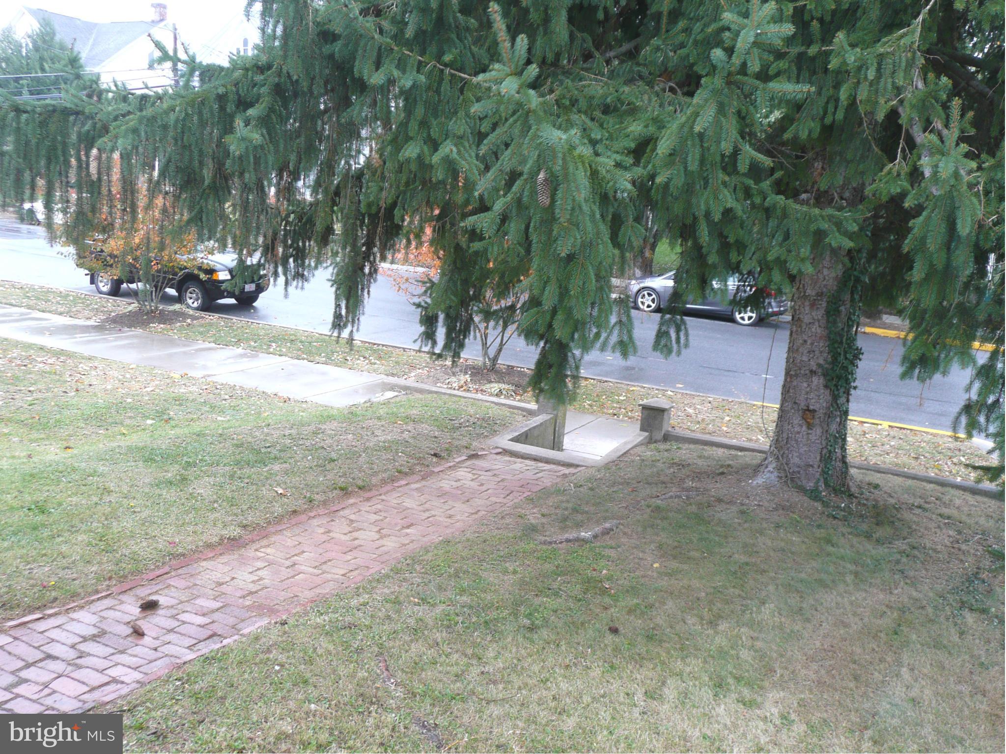 501 South Mildred Street Ranson, WV 25438 - Photo 28 of 29 a view of a yard with plants