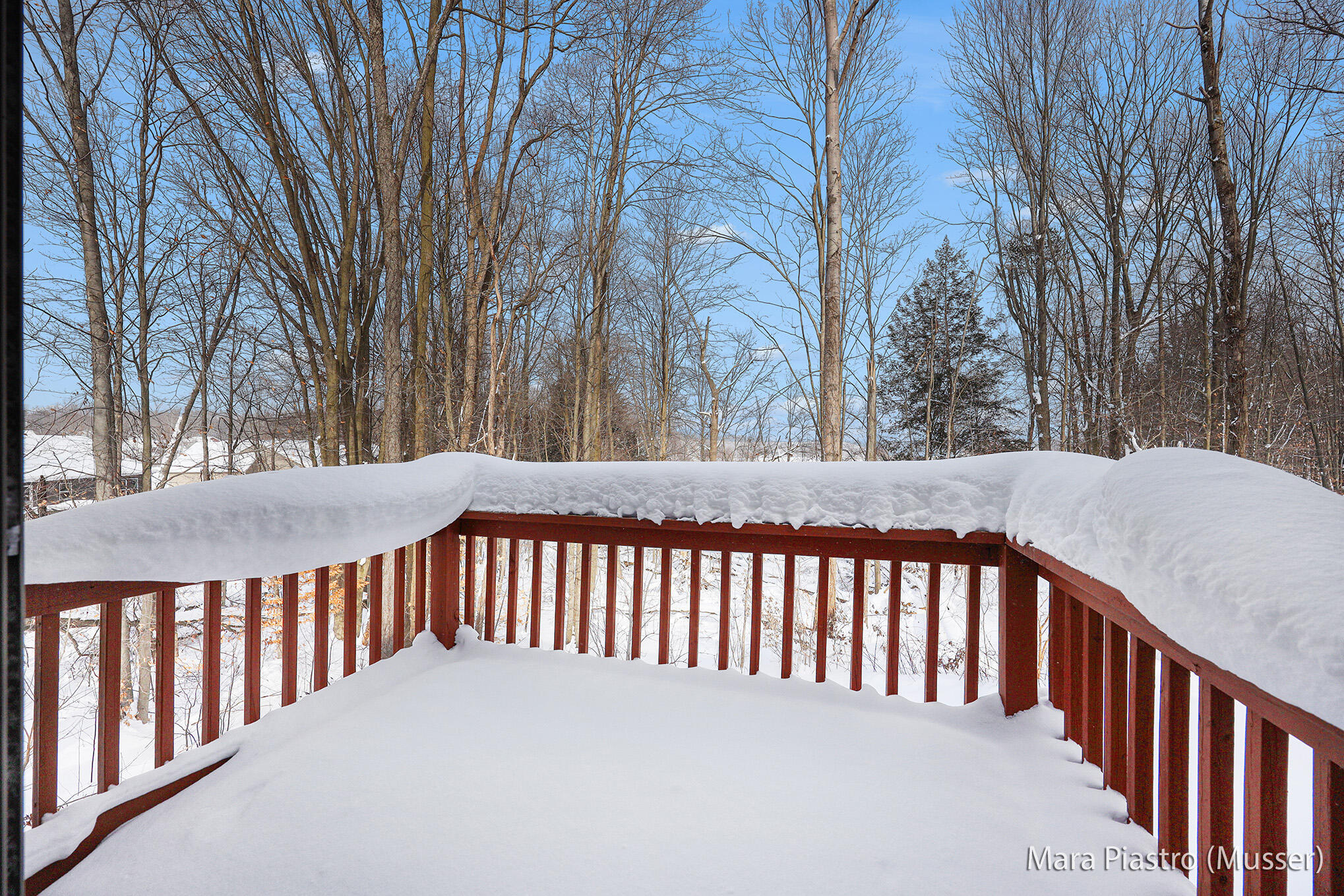 4035 Patti Road Dorr, MI 49323 - Photo 19 of 49 Private Deck
