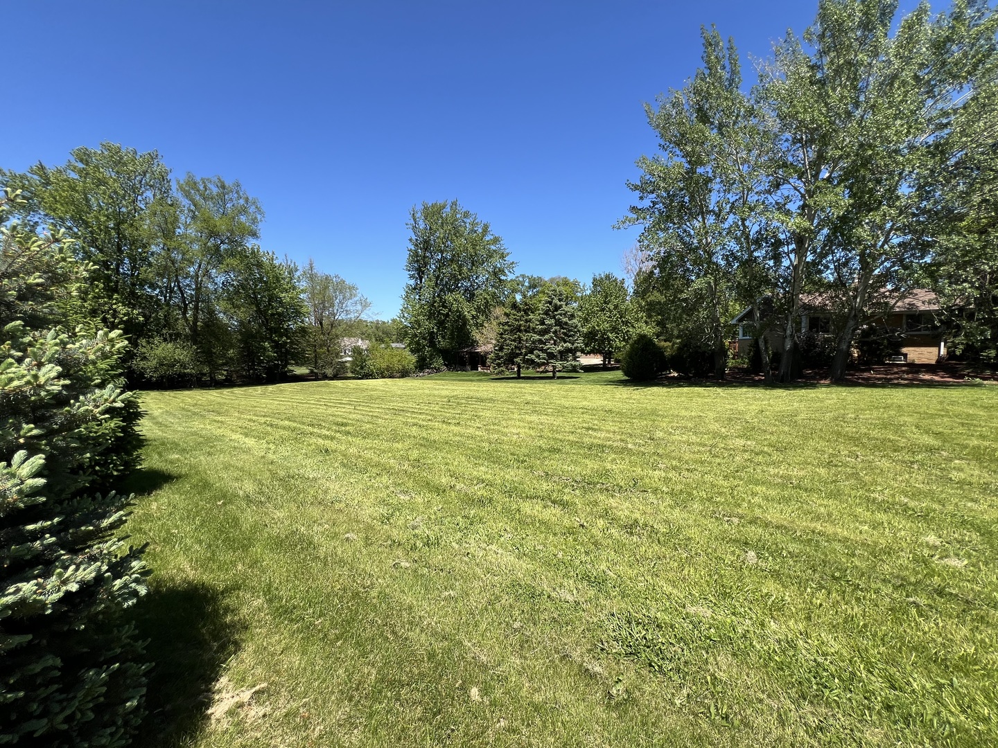 806 Plainfield Road Downers Grove, IL 60516 - Photo 12 of 16 a view of a green field with trees in the background