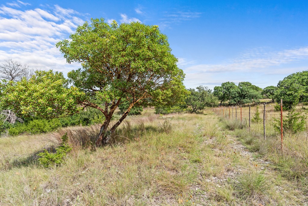 320 Spicer Loop Kerrville, TX 78028 - Photo 37 of 48