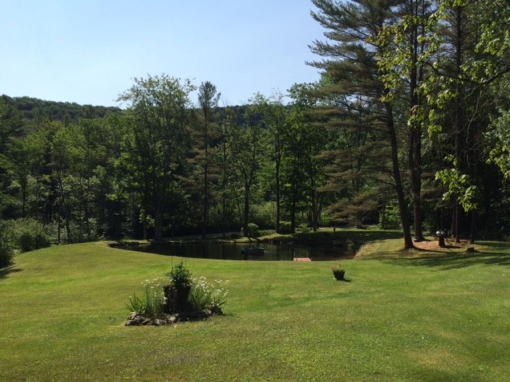 240 Fitzgerald Road Middletown Springs, VT 05757 - Photo 4 of 33