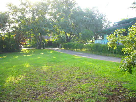 4332 Punee Road Koloa, HI 96756 - Photo 20 of 24 a view of yard with green space