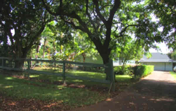4332 Punee Road Koloa, HI 96756 - Photo 3 of 24 a backyard of a house with lots of green space