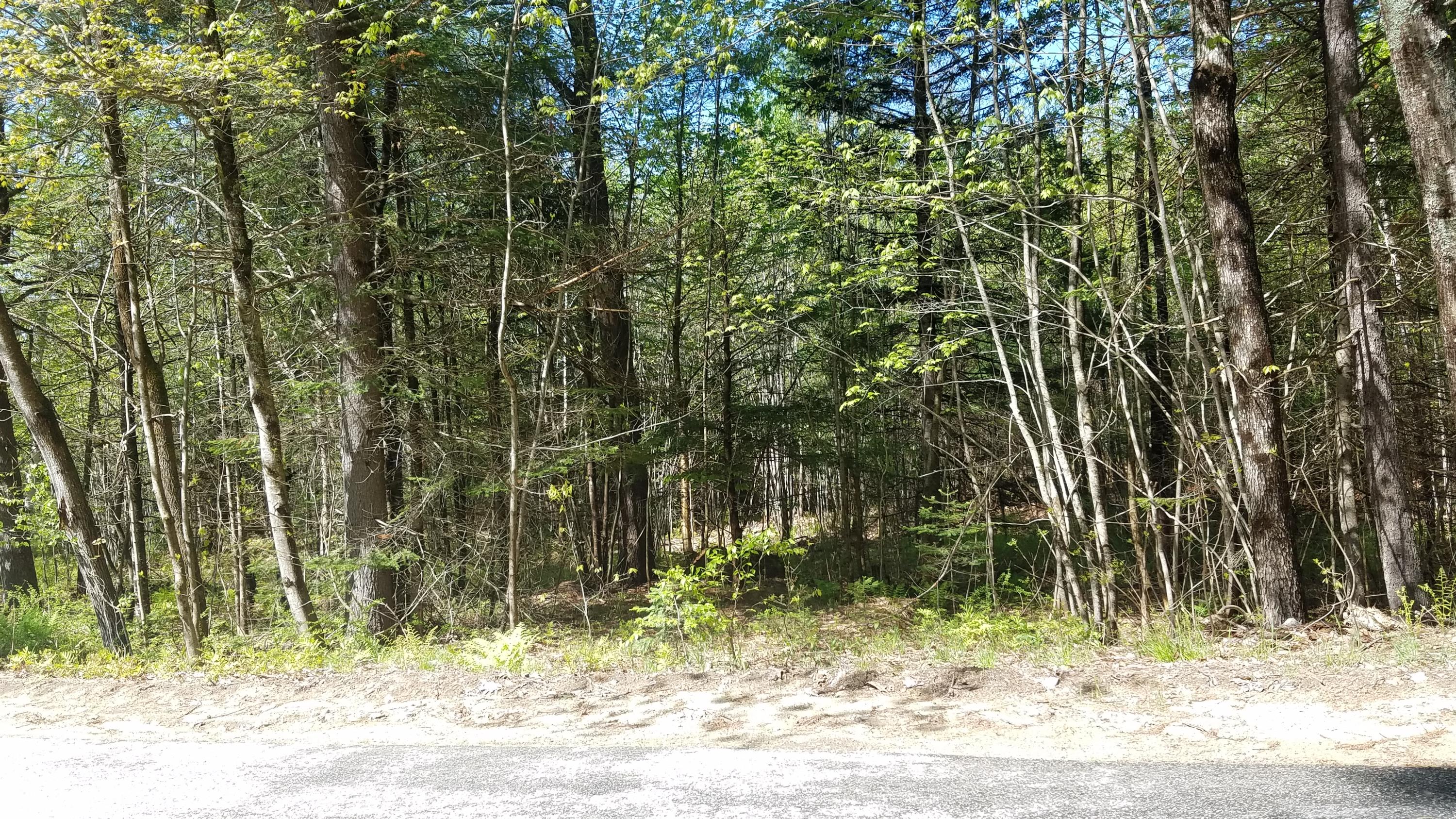 Tbd Stock Farm Road South Paris, ME 04281 - Photo 5 of 12 20190526_100810