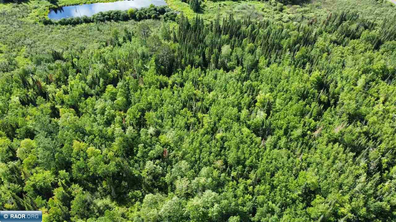 Tbd South Salmi Road Hibbing, MN 55746 - Photo 14 of 36
