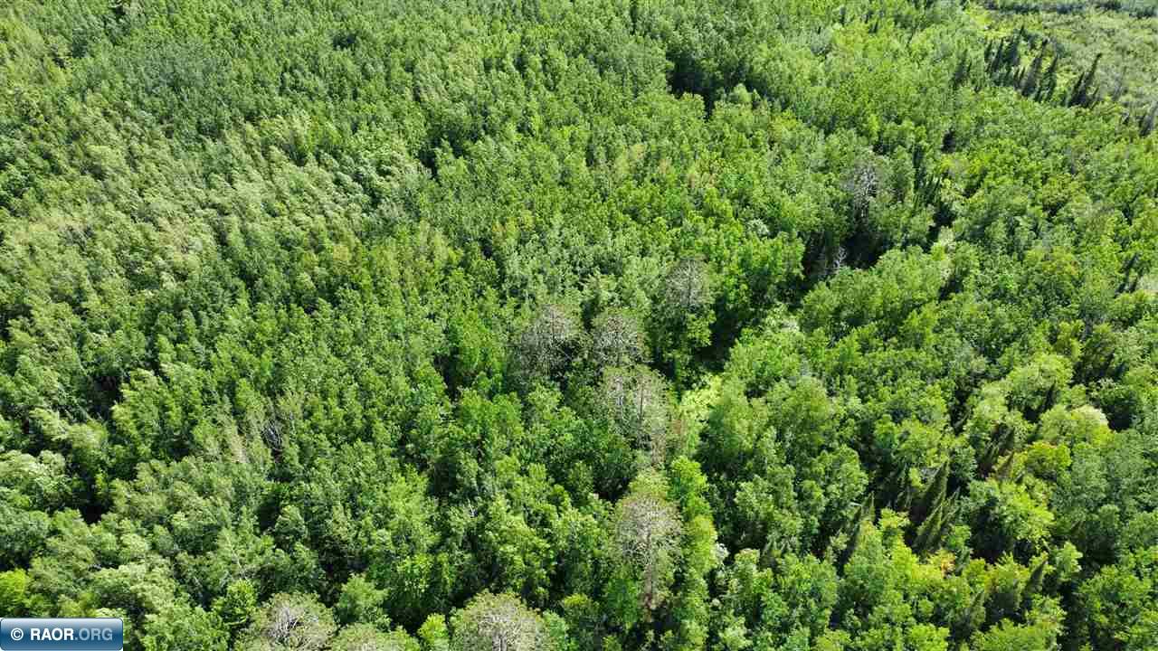 Tbd South Salmi Road Hibbing, MN 55746 - Photo 15 of 36