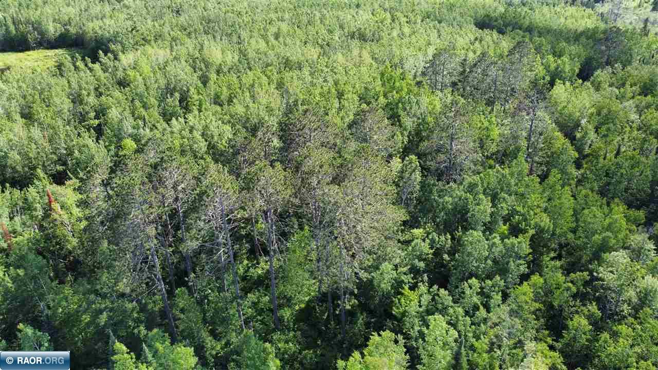 Tbd South Salmi Road Hibbing, MN 55746 - Photo 21 of 36