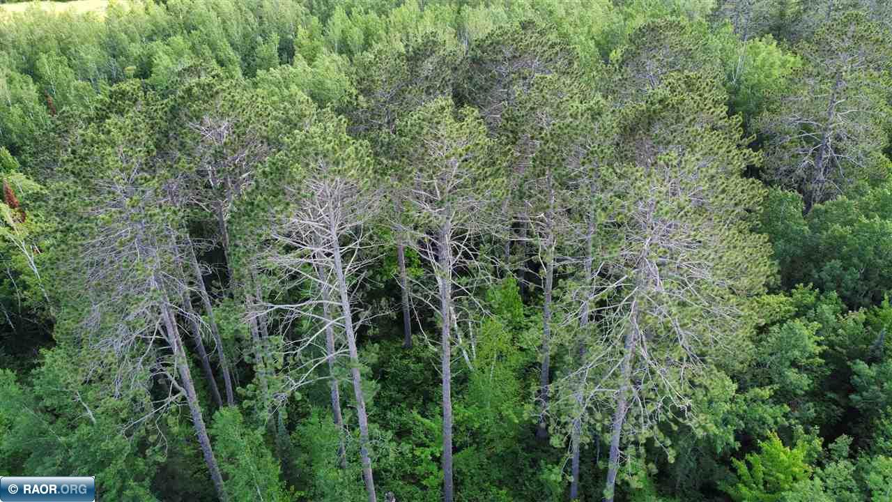 Tbd South Salmi Road Hibbing, MN 55746 - Photo 22 of 36