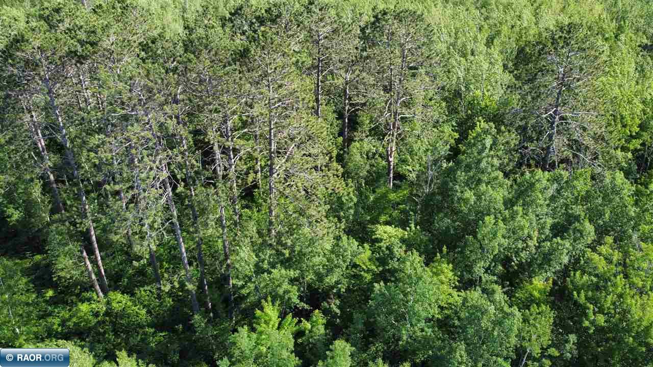 Tbd South Salmi Road Hibbing, MN 55746 - Photo 24 of 36