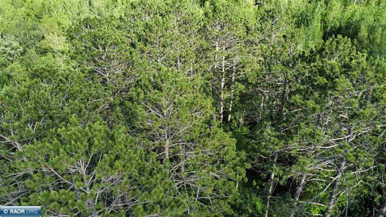 Tbd South Salmi Road Hibbing, MN 55746 - Photo 27 of 36