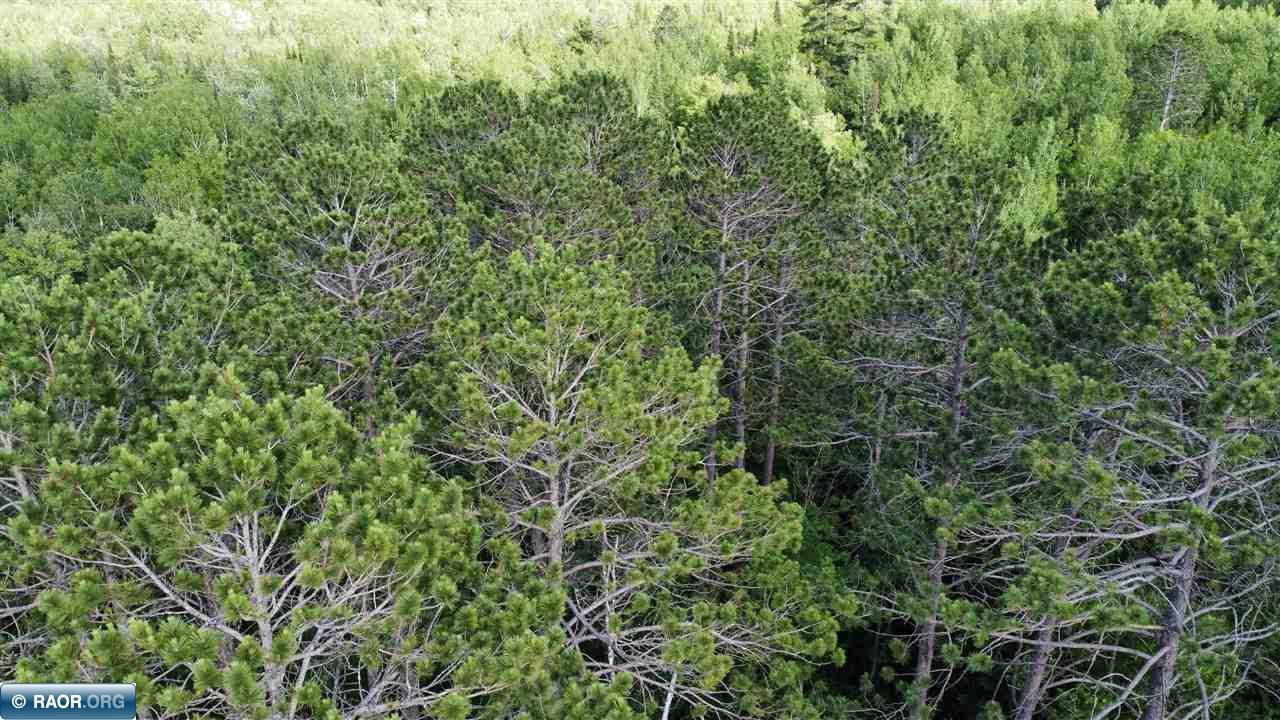 Tbd South Salmi Road Hibbing, MN 55746 - Photo 28 of 36