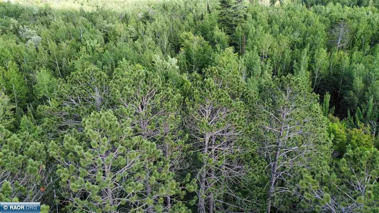 Tbd South Salmi Road Hibbing, MN 55746 - Photo 29 of 36