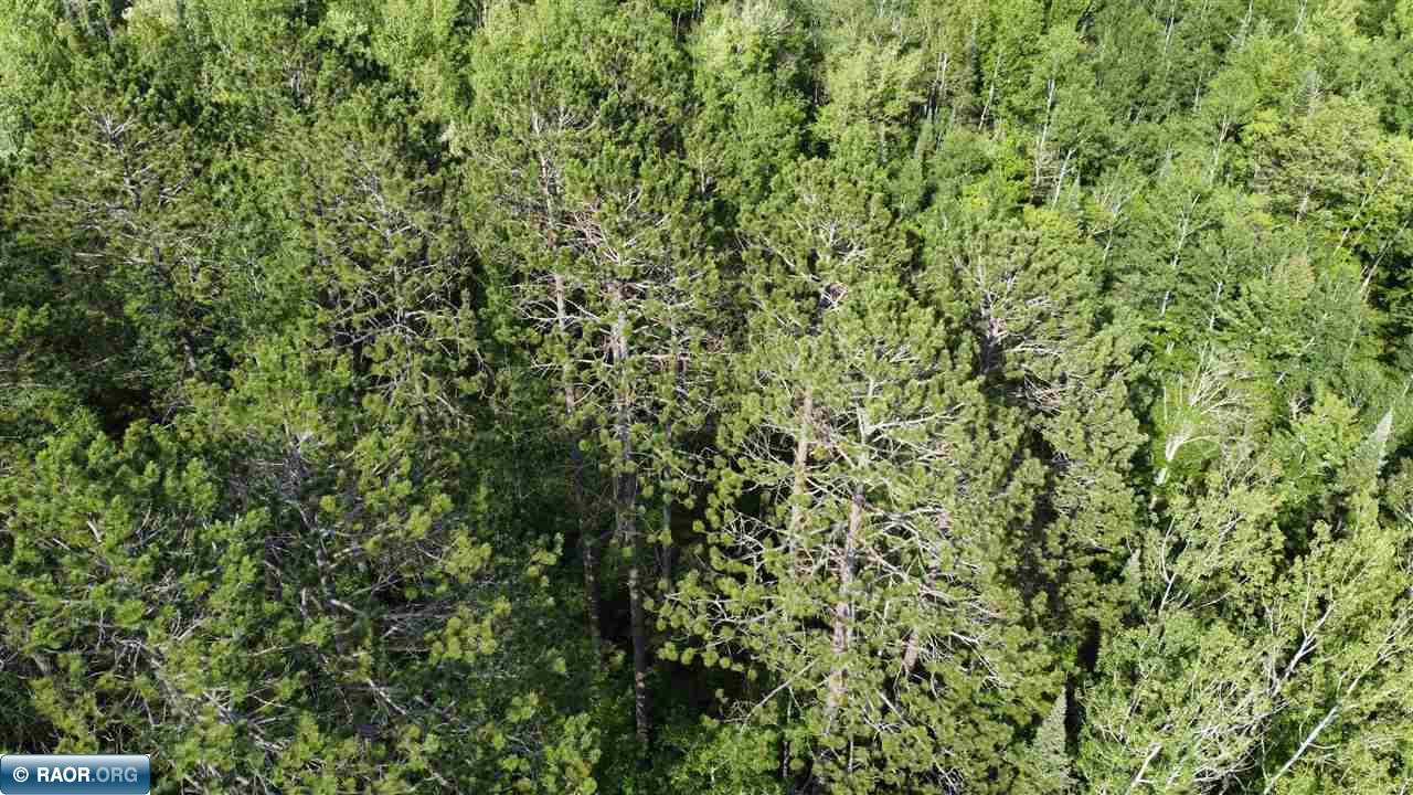 Tbd South Salmi Road Hibbing, MN 55746 - Photo 35 of 36