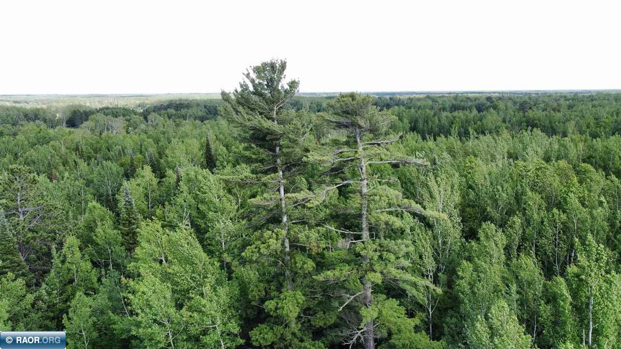 Tbd South Salmi Road Hibbing, MN 55746 - Photo 4 of 36