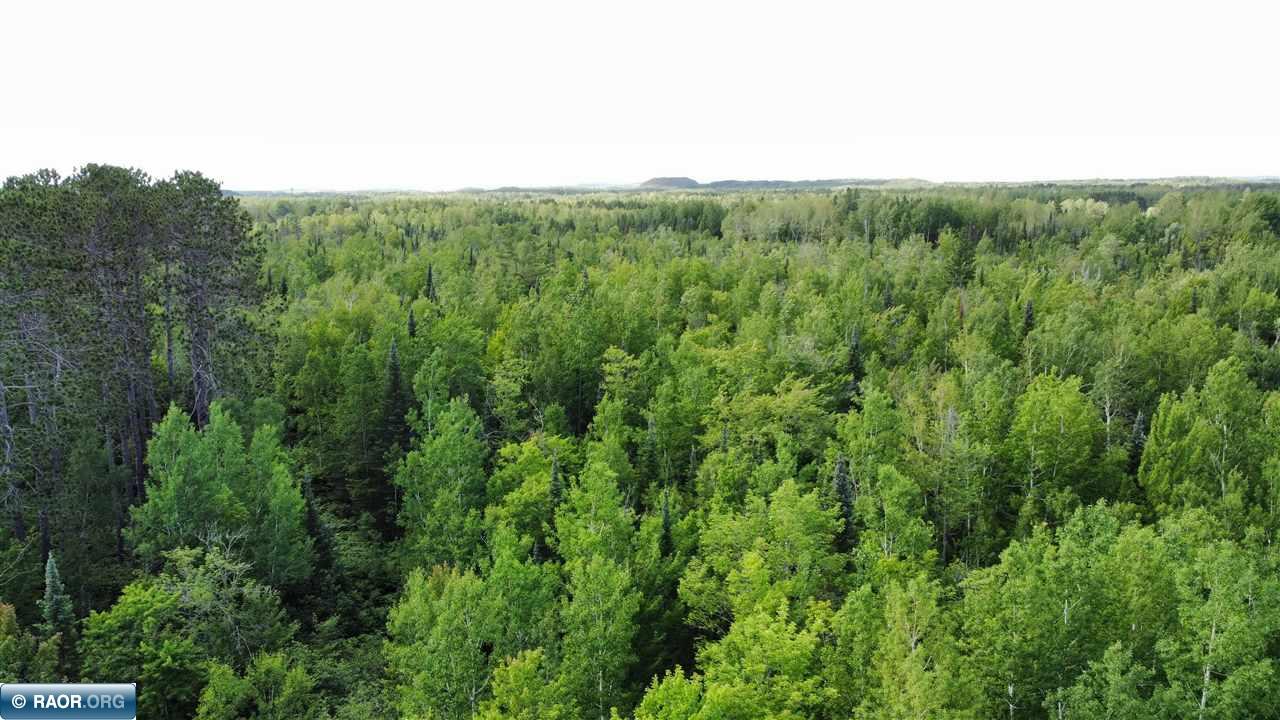 Tbd South Salmi Road Hibbing, MN 55746 - Photo 6 of 36