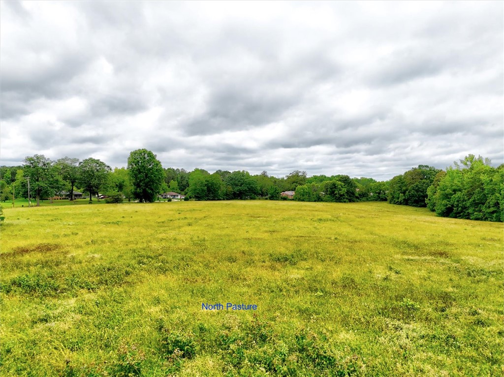 1411 Trail Road Belton, SC 29627 - Photo 29 of 47