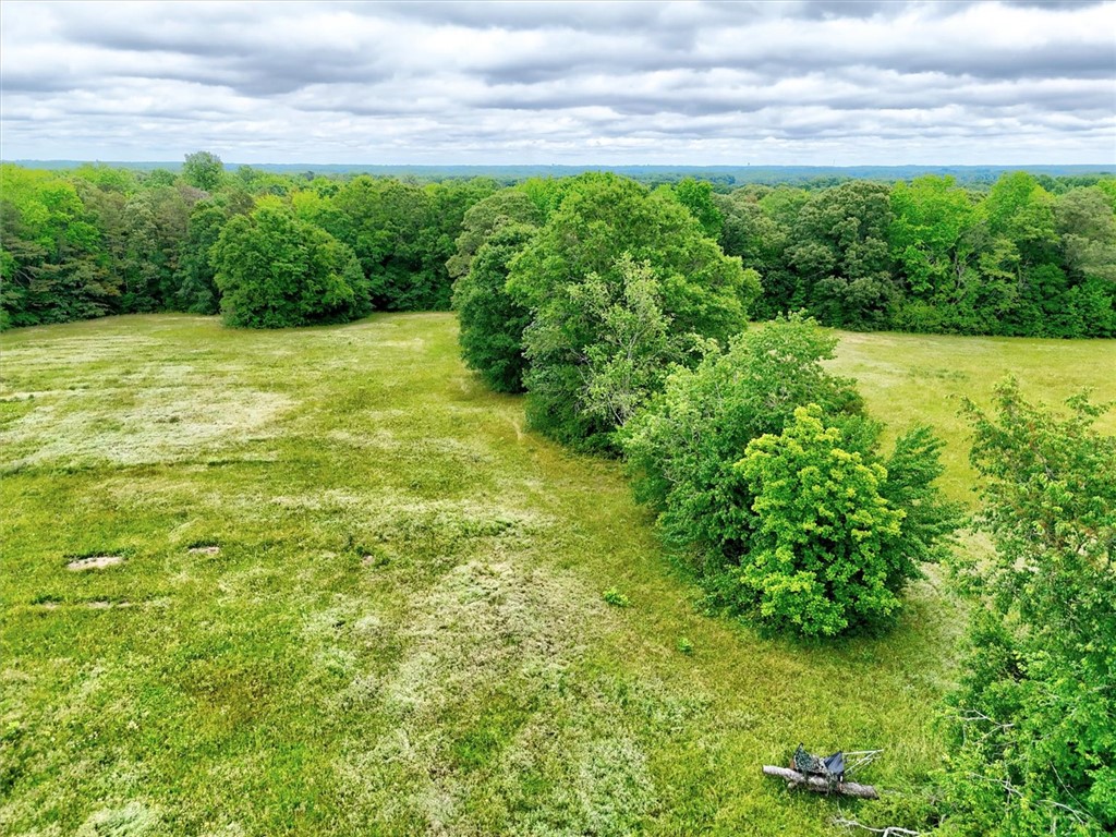 1411 Trail Road Belton, SC 29627 - Photo 30 of 47