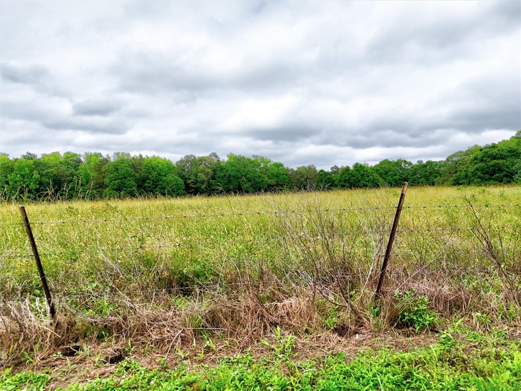 1411 Trail Road Belton, SC 29627 - Photo 35 of 47