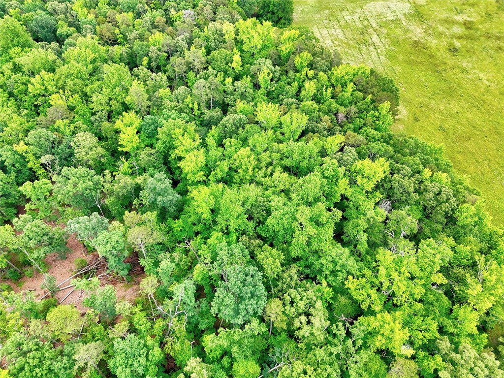 1411 Trail Road Belton, SC 29627 - Photo 38 of 47