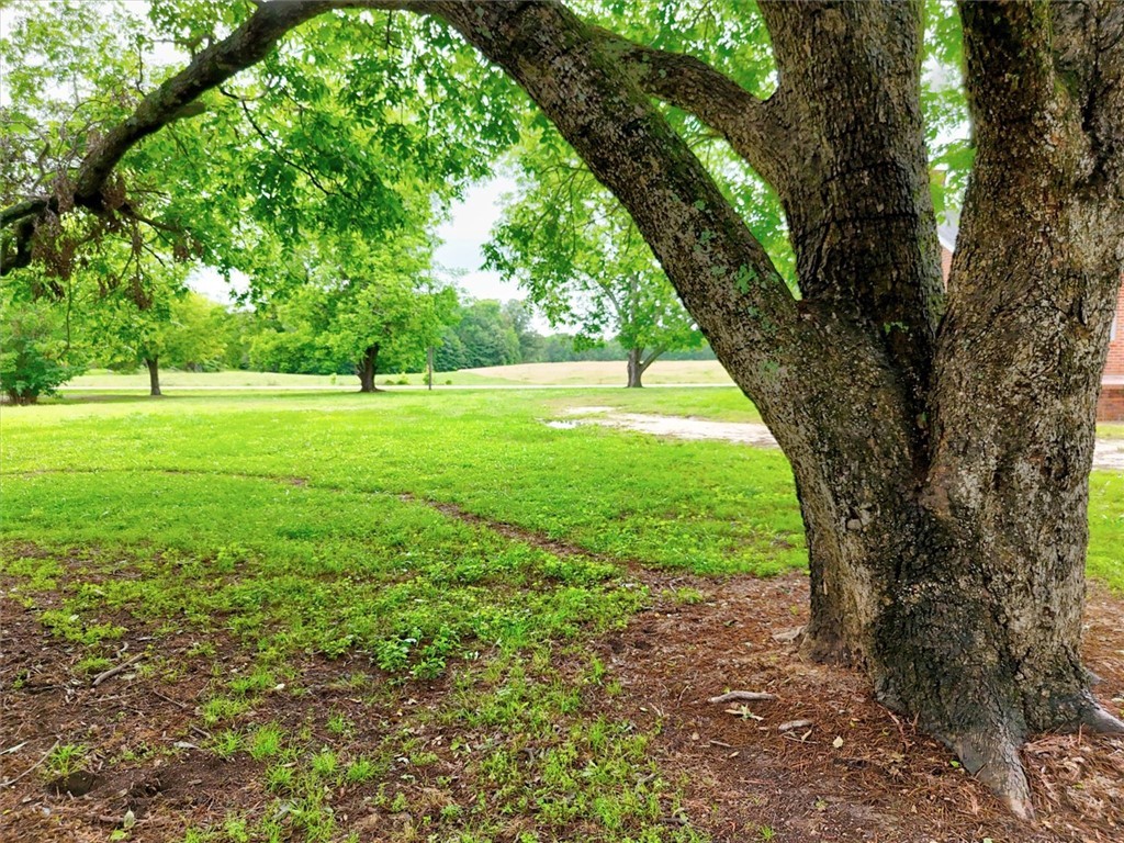 1411 Trail Road Belton, SC 29627 - Photo 41 of 47