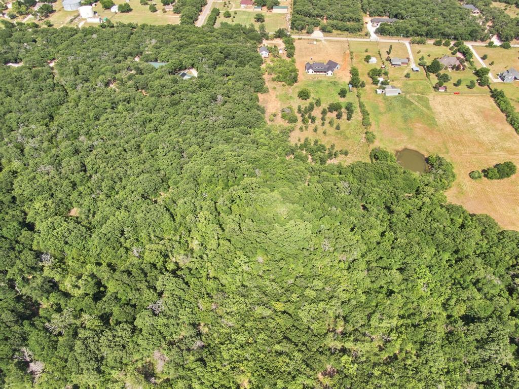 3325 Dove Creek Road Cleburne, TX 76031 - Photo 37 of 40 Expansive wooded acreage featuring mature trees and a tranquil pond