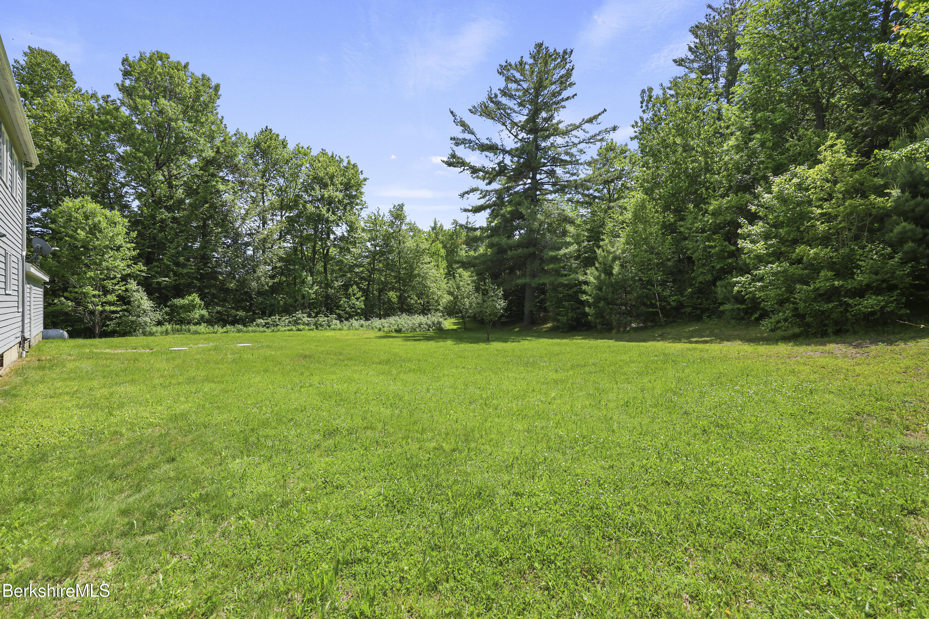 1130 Main Dalton Road Windsor, MA 01270 - Photo 50 of 56 Back Yard