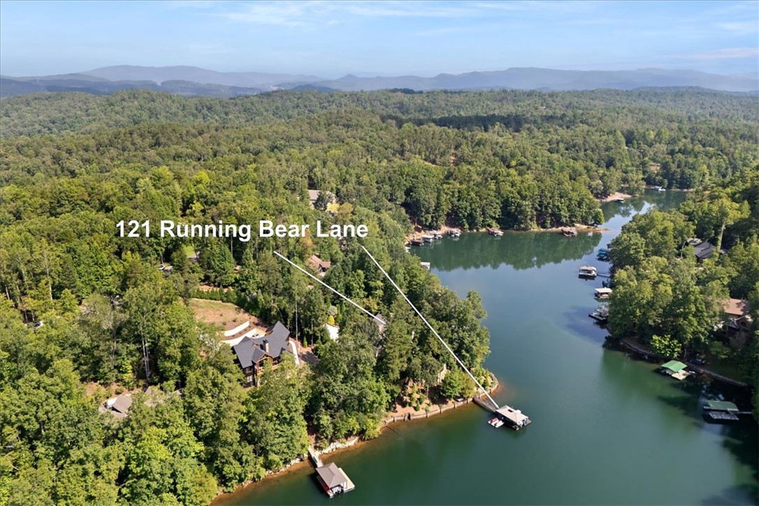121 Running Bear Lane Sunset, SC 29685 - Photo 2 of 50