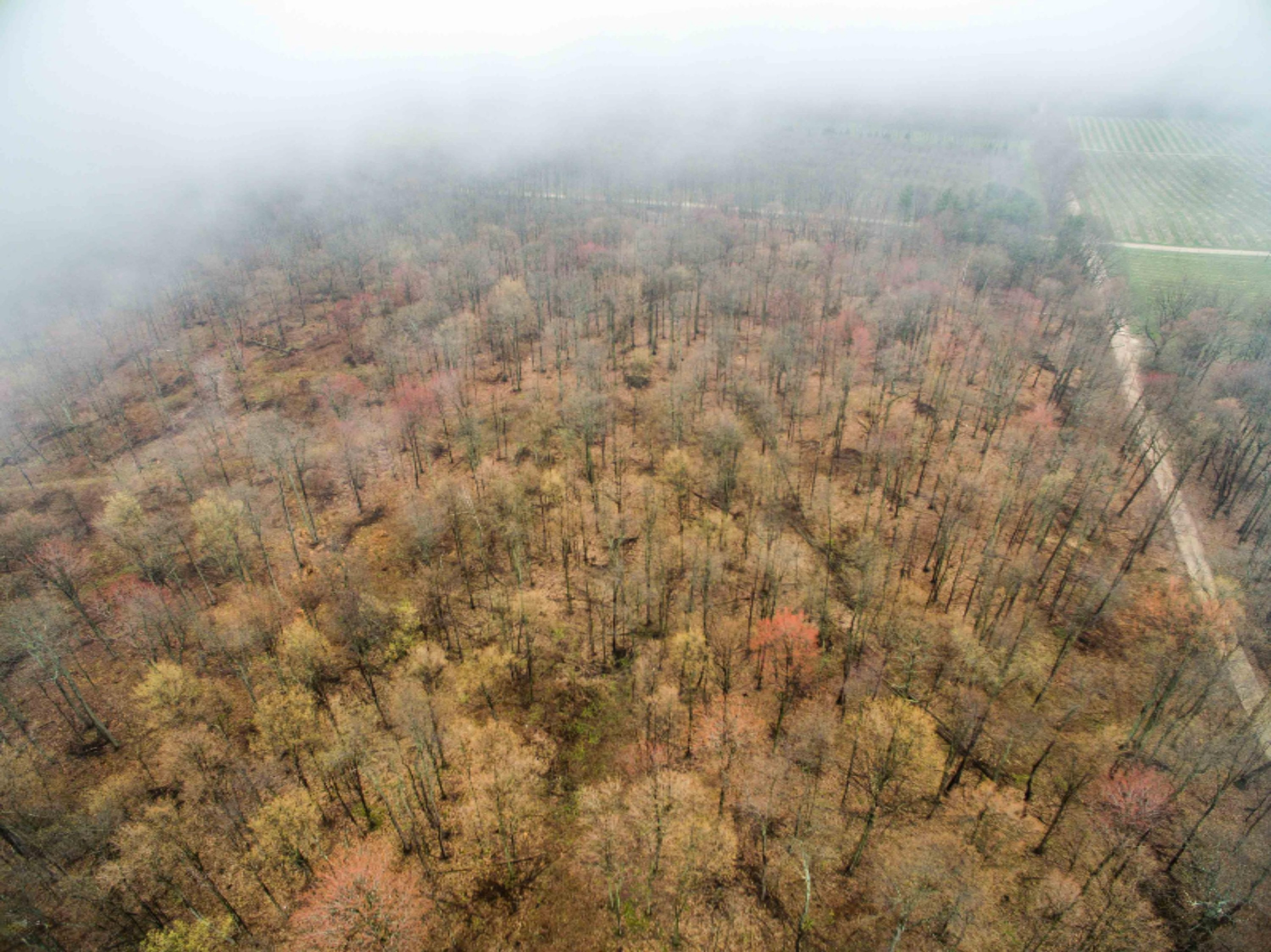 West Warren Road Shelby, MI 49455 - Photo 11 of 14 DJI_0053-11