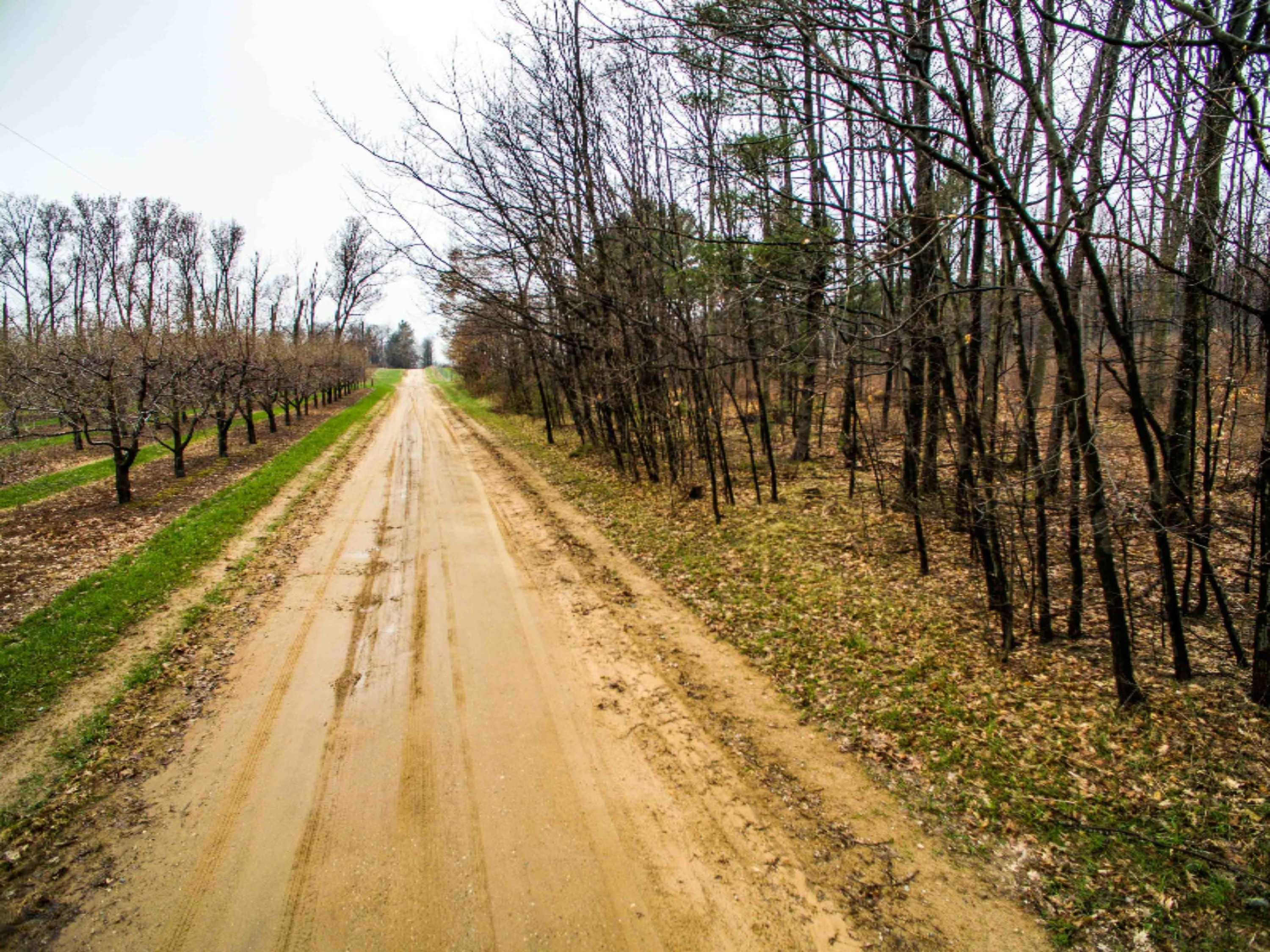 West Warren Road Shelby, MI 49455 - Photo 13 of 14 DJI_0055-13