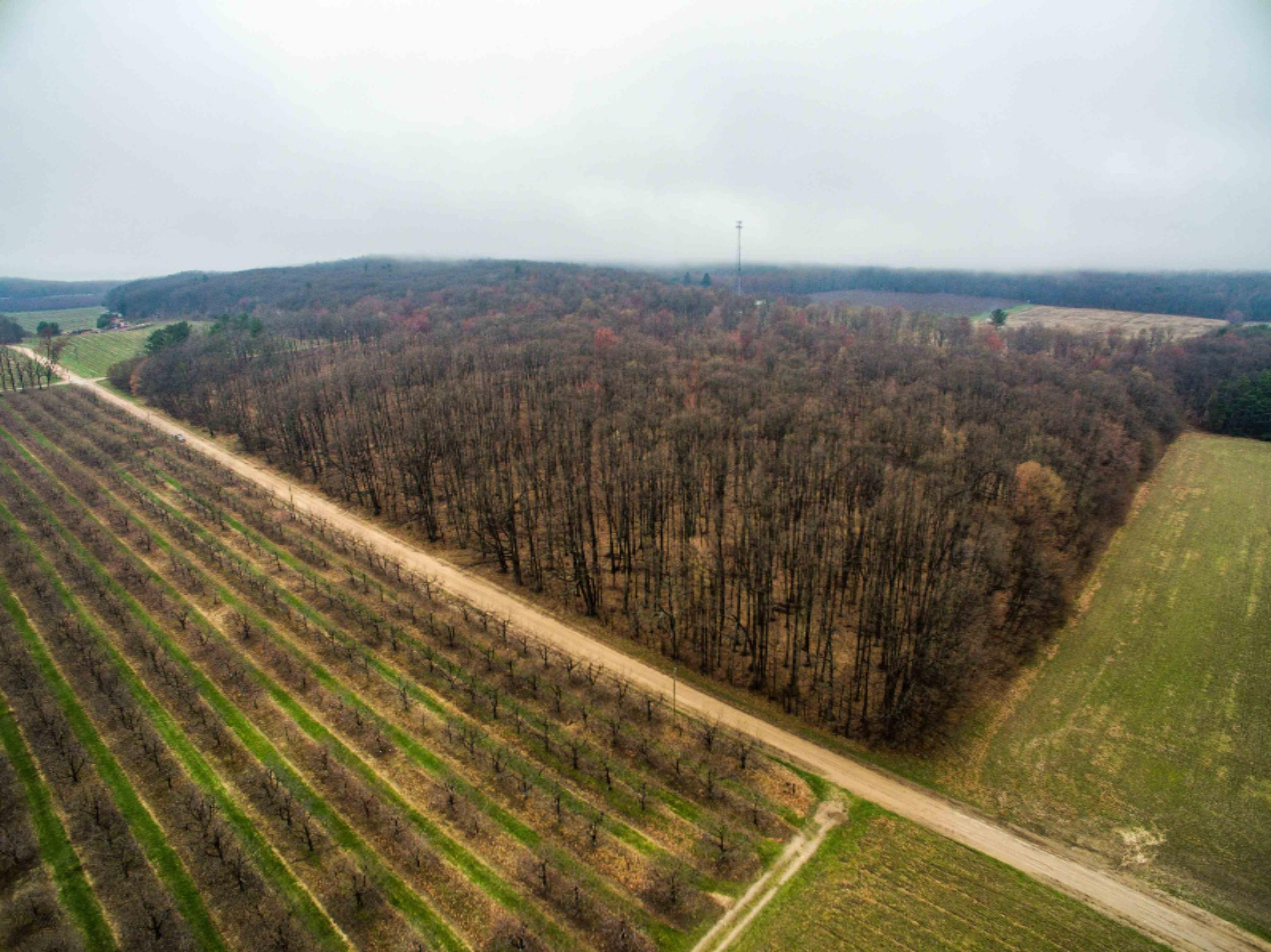 West Warren Road Shelby, MI 49455 - Photo 4 of 14 DJI_0043-4