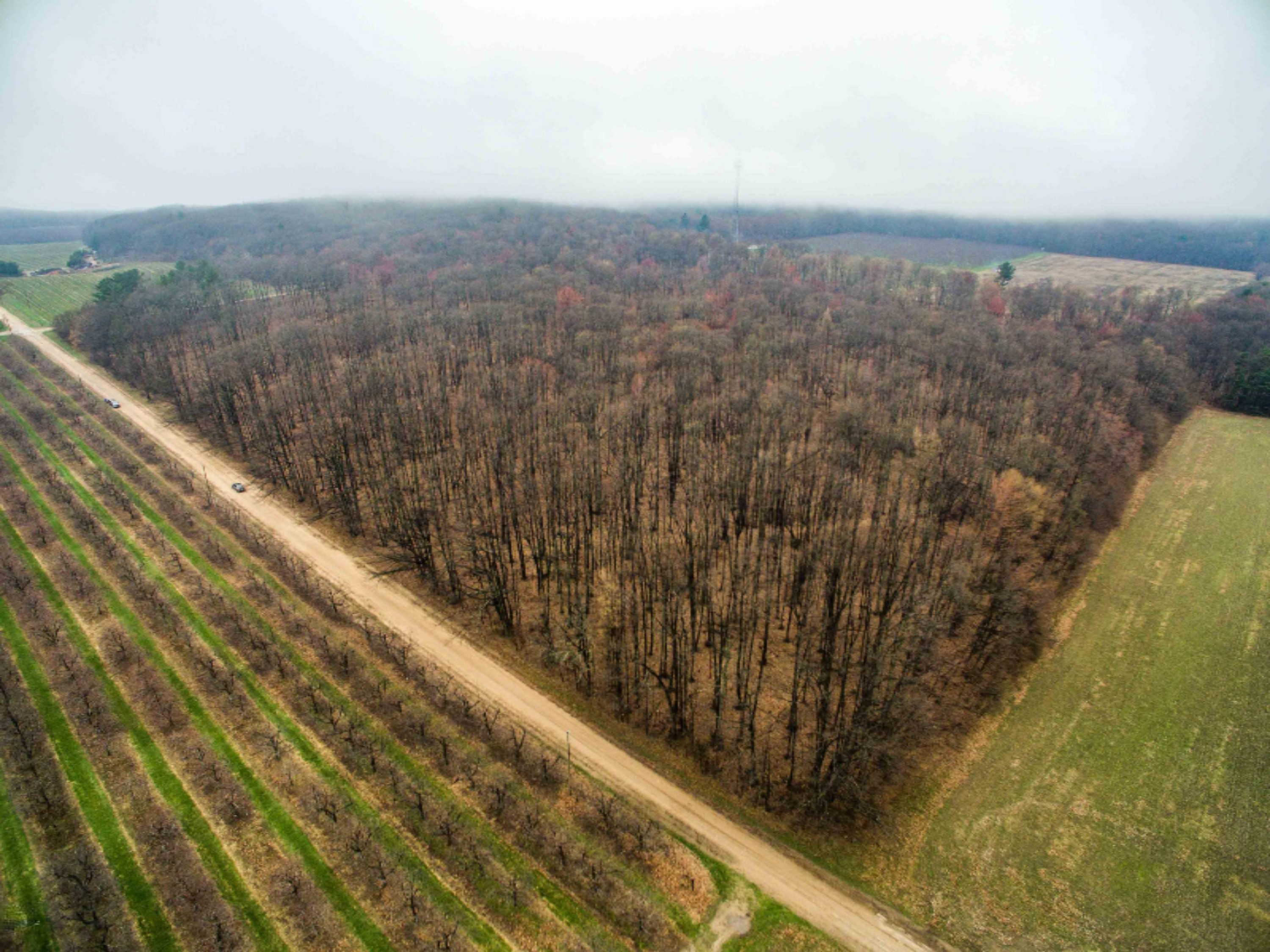 West Warren Road Shelby, MI 49455 - Photo 5 of 14 DJI_0045-5