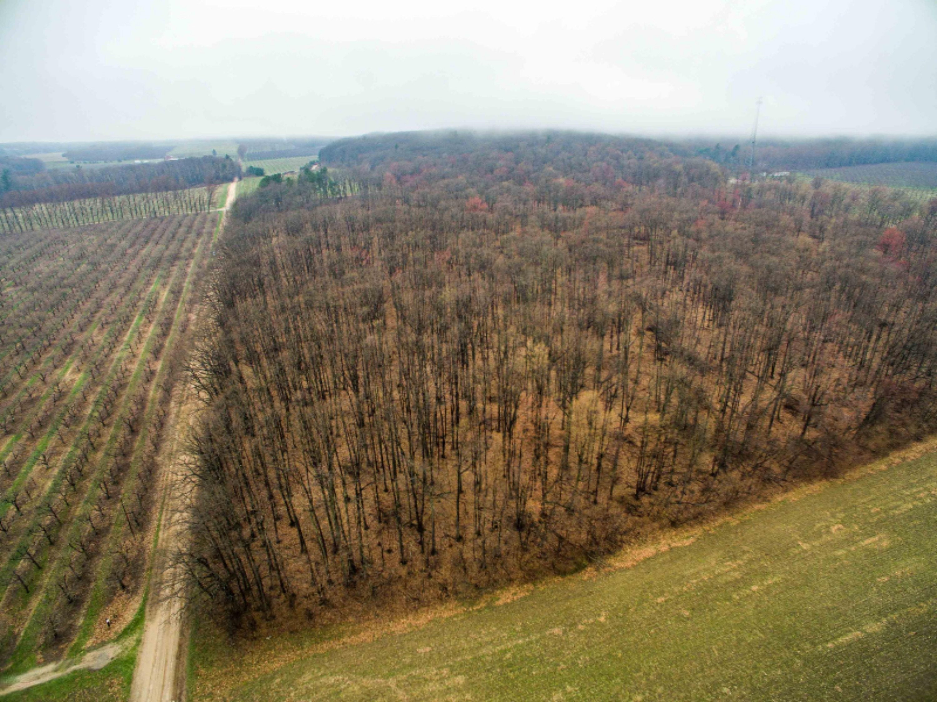 West Warren Road Shelby, MI 49455 - Photo 6 of 14 DJI_0046-6