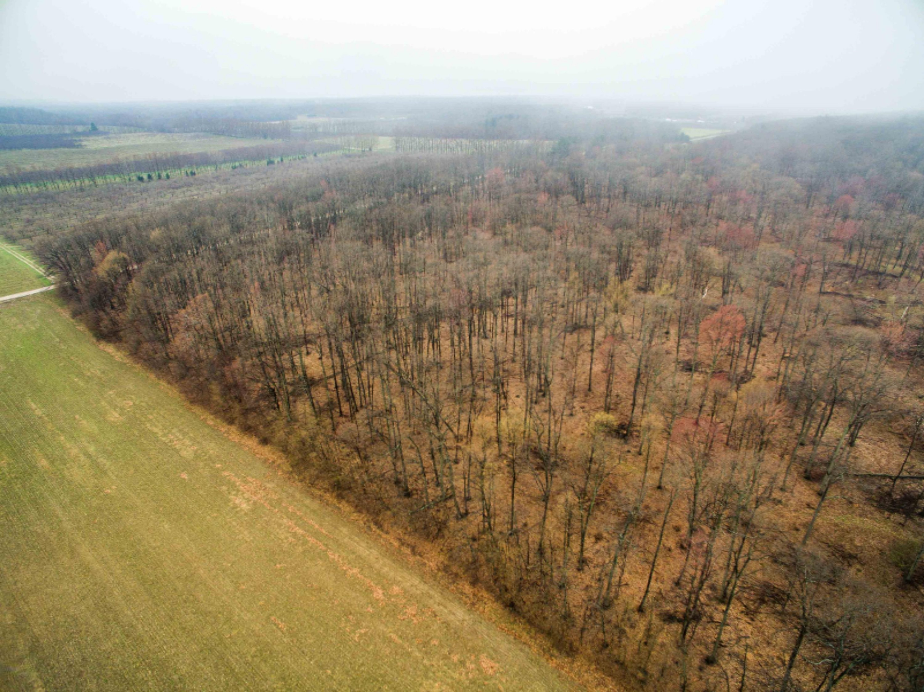 West Warren Road Shelby, MI 49455 - Photo 7 of 14 DJI_0047-7