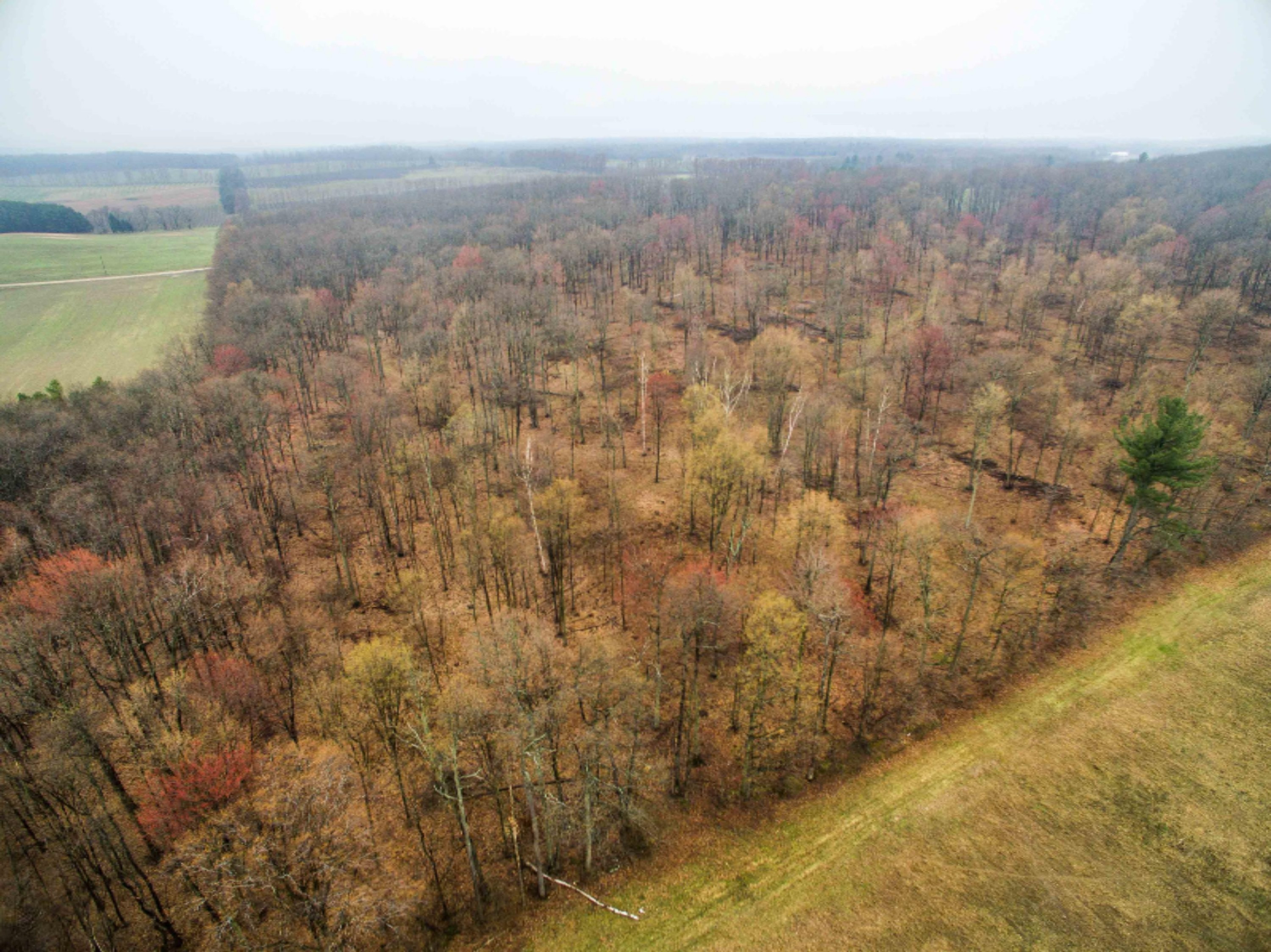 West Warren Road Shelby, MI 49455 - Photo 8 of 14 DJI_0048-8