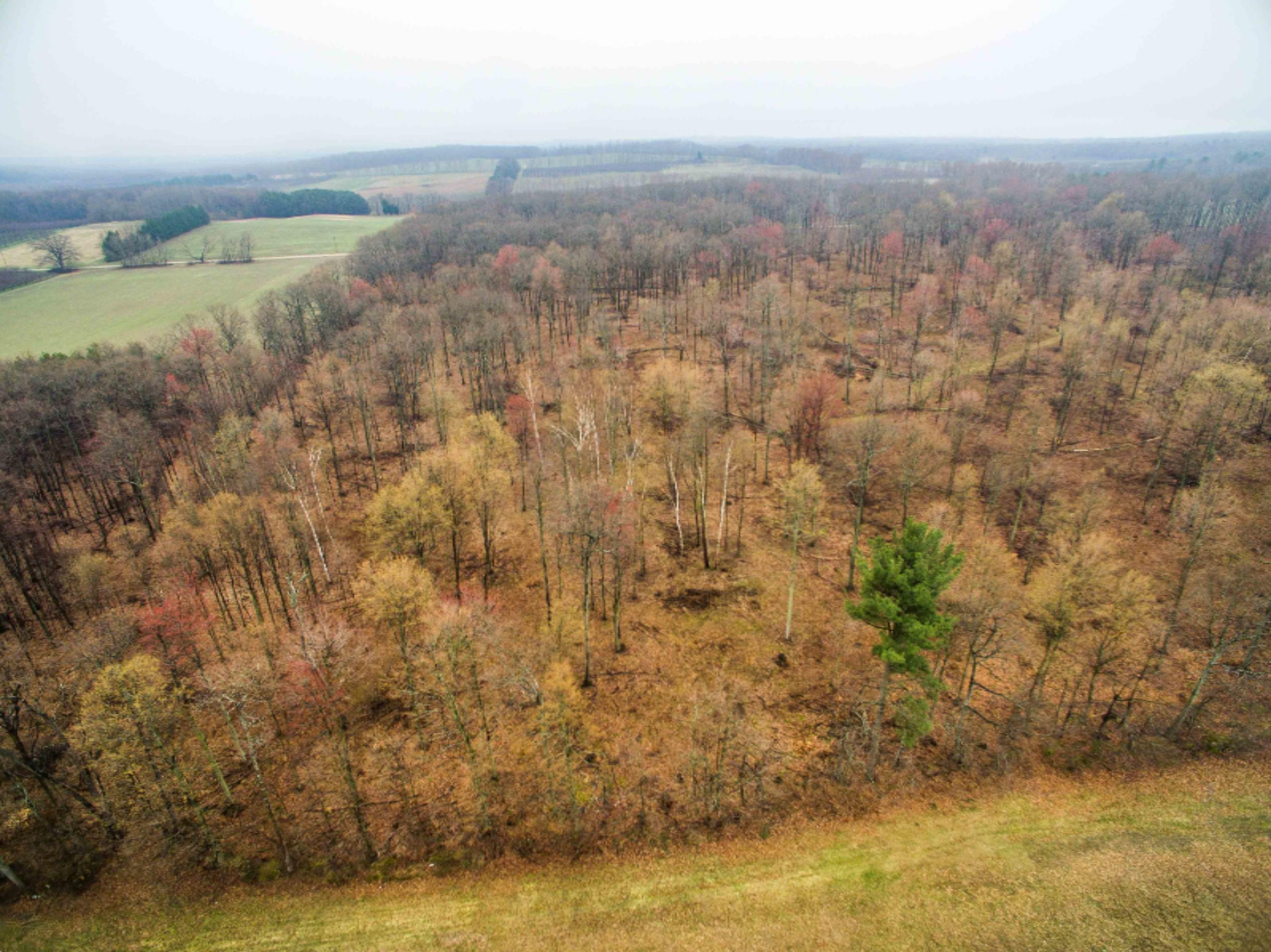 West Warren Road Shelby, MI 49455 - Photo 9 of 14 DJI_0049-9