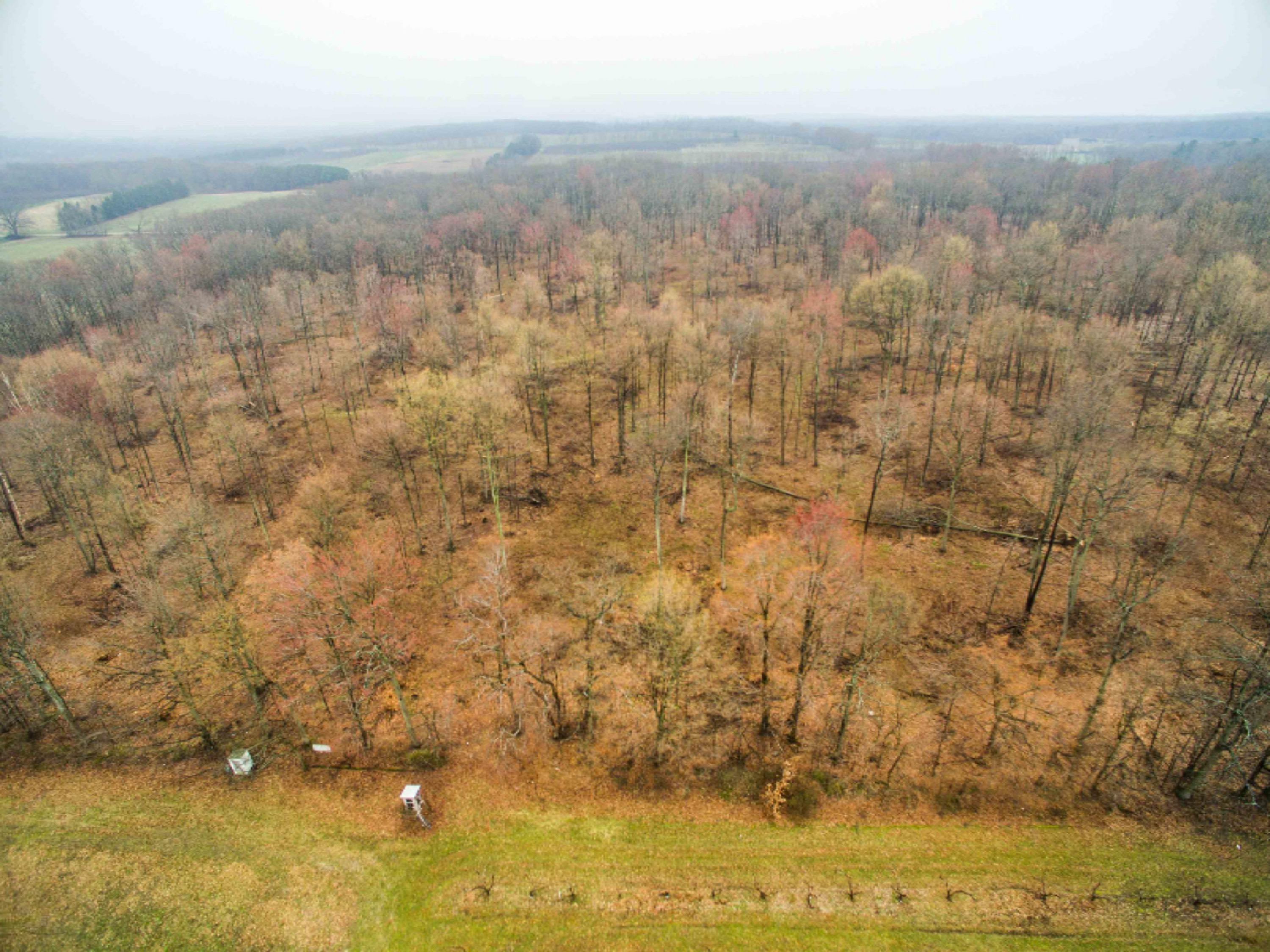 West Warren Road Shelby, MI 49455 - Photo 10 of 14 DJI_0050-10
