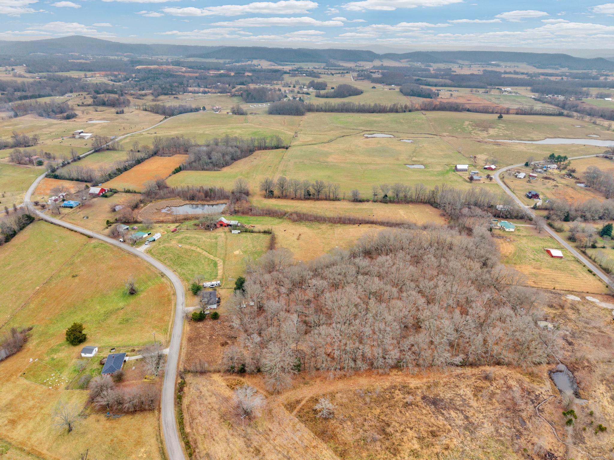 1295 3 Island Road Walling, TN 38587 - Photo 11 of 13 a view of ocean view