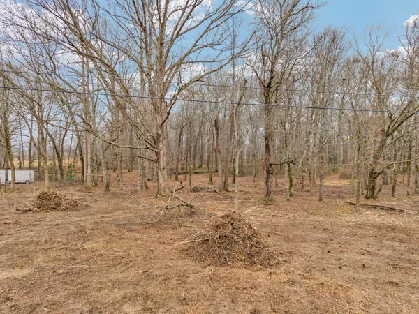 a backyard of a house with large trees